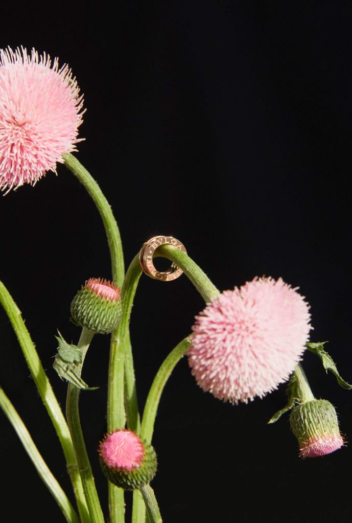 Document Journal 14_Thomas Lohr x Alice Lefons3